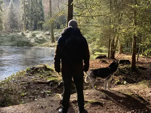 Dog walker with Husky in the forest by the river – PAWZ Bern